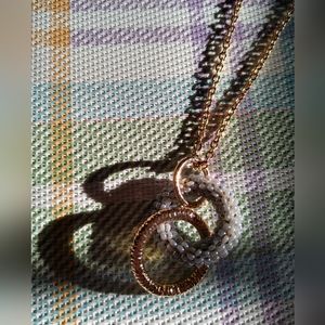 Banana Republic Necklace